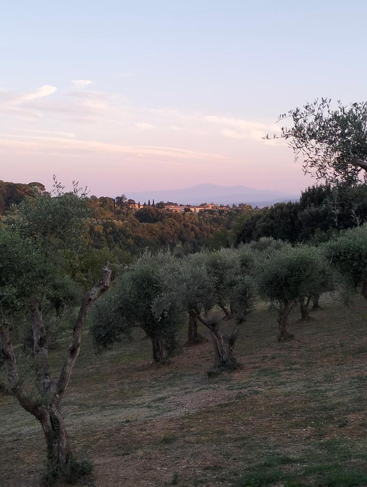 Agli Olivi Di Marciano Leilighet Siena Eksteriør bilde