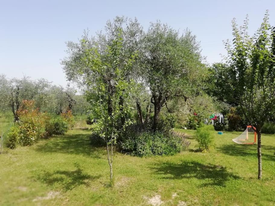 Agli Olivi Di Marciano Leilighet Siena Eksteriør bilde