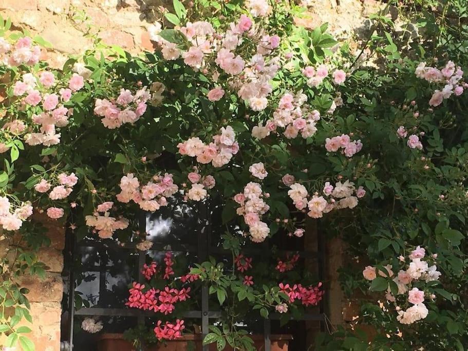 Agli Olivi Di Marciano Leilighet Siena Eksteriør bilde